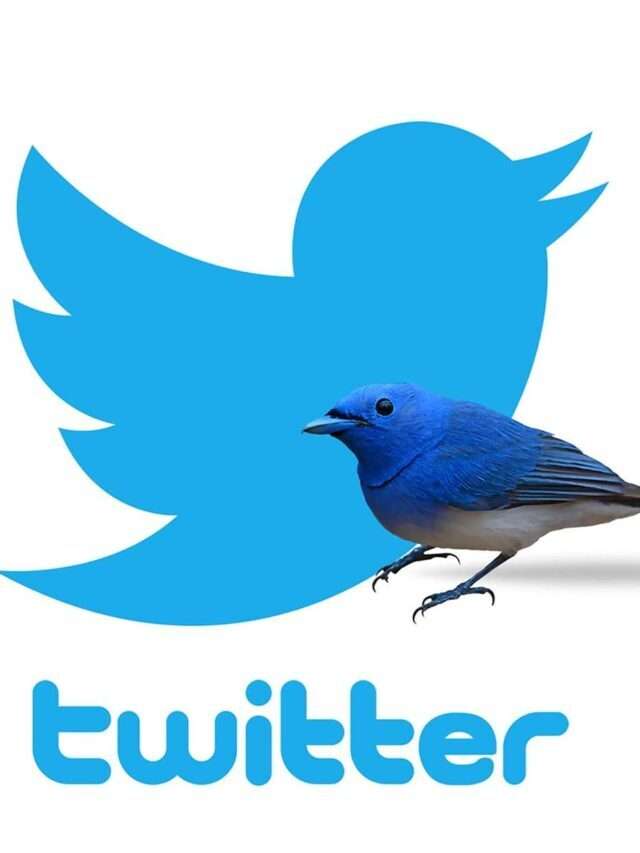किसने और कैसे तैयार किया Twitter का Logo, जानें