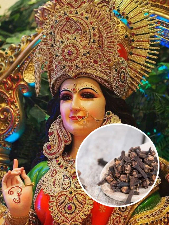 Maa Bhagwati is worshiped a lot during Navratri.