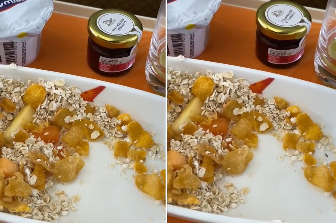 AIR India business class passenger shares video of insect in flight meal
