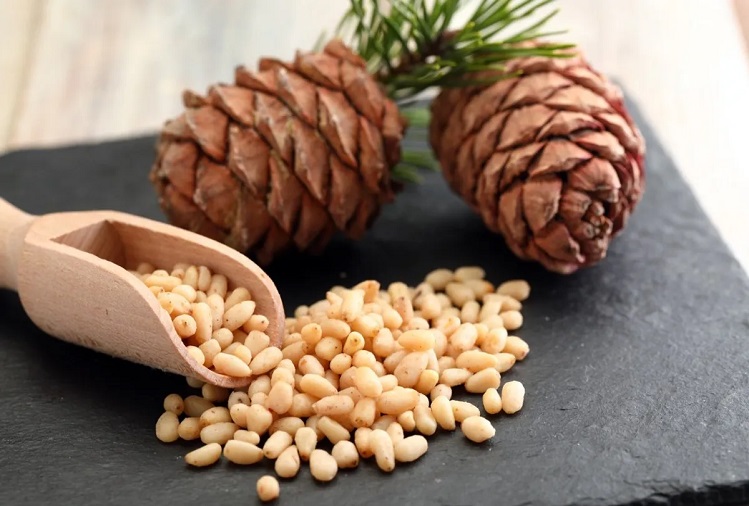 Health Tips : Pine nuts are rich in nutrients which are beneficial for your body.