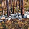 350 goats in Kaal's cheek due to lightning strike in Uttarkashi.