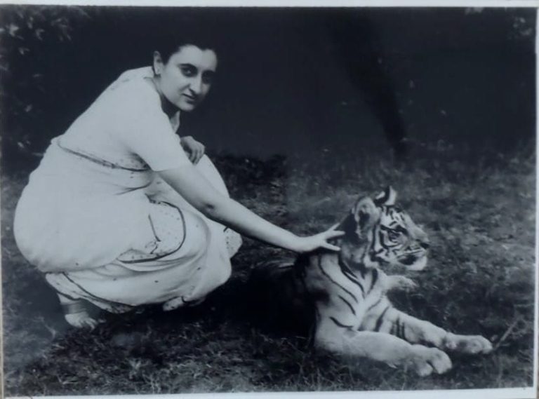 India's strong commitment to wildlife conservation, inspiring legacy of Indira Gandhi: Rahul Gandhi.