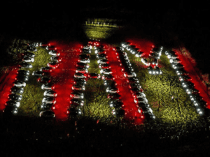 अमेरिका में Tesla कारों से बनाया गया 'RAM' नाम