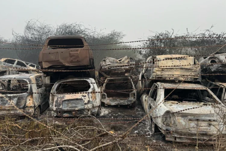 दिल्ली पुलिस के मालखाने में आग लगने से करीब 300 गाड़ियां जलकर राख 1 दिल्ली पुलिस के मालखाने में आग लगने से करीब 300 गाड़ियां जलकर राख