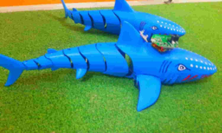 स्मार्ट नेवी डिफेन्स फिश