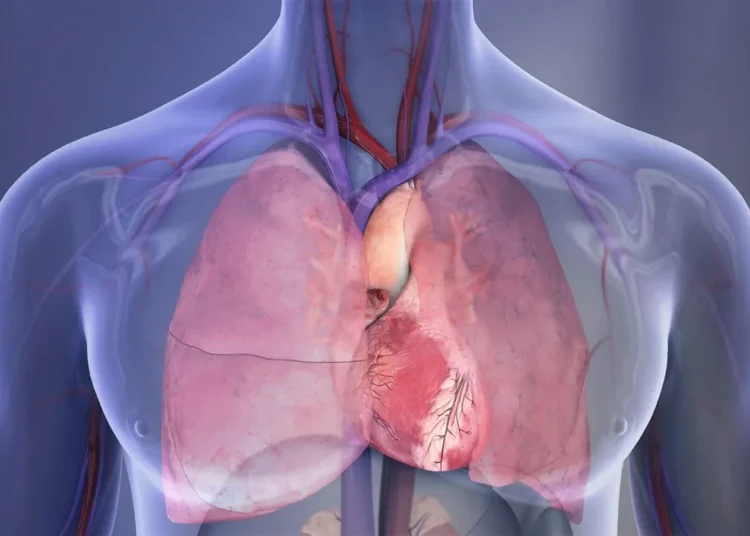 हृदय स्वास्थ्य सुधार से जुड़ी है रक्त में 'सीसे के स्तर' में कमी : शोध