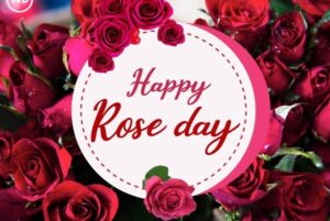 Rose Day से ही क्यों होती है वैलेंटाइन डे की शुरुआत?