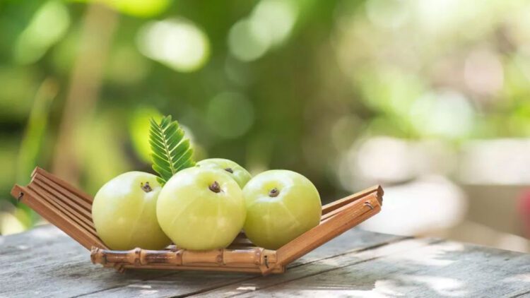 हर रोज एक आंवला का सेवन करने से जड़ से खत्म होते है ये कुछ रोग