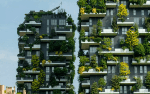 पर्यावरण समस्या