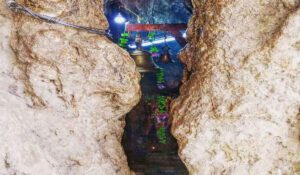 महादेव के इस मंदिर में हैं रहस्यमयी गुफा, टिप-टिप कर गिरती हैं पानी बूंदे…महाशिवरात्रि पर लगा शिव भक्तों का तांता