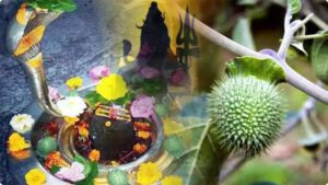 महाशिवरात्रि पर भोलेनाथ को कैसे करें प्रसन्न, जानें पूजा का विधान