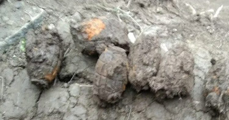 राजौरी में जंग लगे ग्रेनेड और विस्फोटकों का जखीरा बरामद 1 Jammu Kashmir