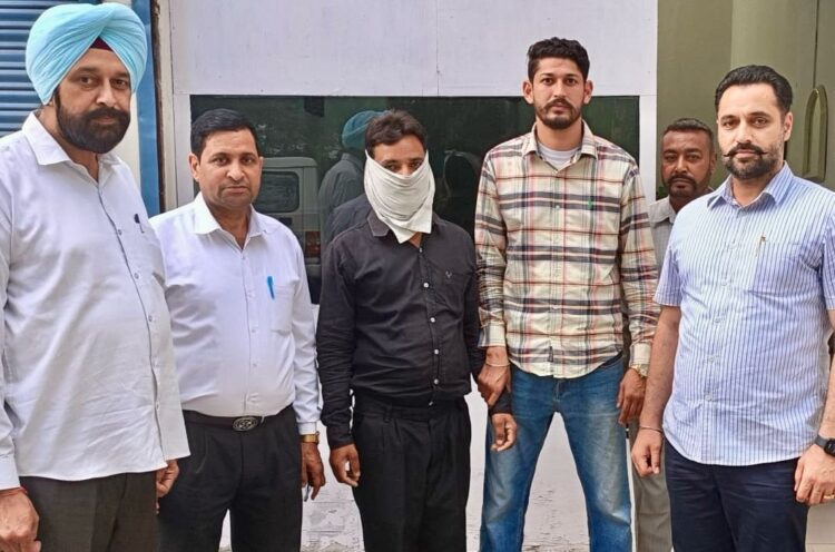 पीएसपीसीएल