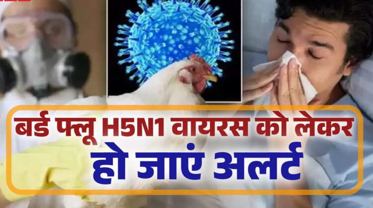 फिर से भारत में बर्ड फ्लू ने दे दी दस्तक, कहां मिला केस, जानें क्या-क्या सावधानी है जरूरी 1 बर्ड फ्लू