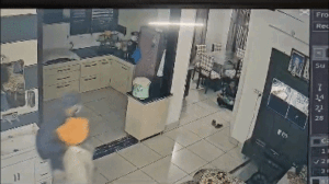 बदमाशों ने पिस्टल की नोक पर महिला को बंधक बनाकर की लूट,