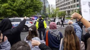 अमेरिकी यूनिवर्सिटी