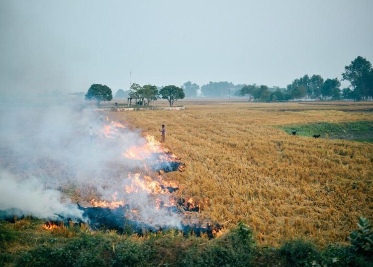 किसानों को फसल अवशेष नहीं जलाने की चेतावनी