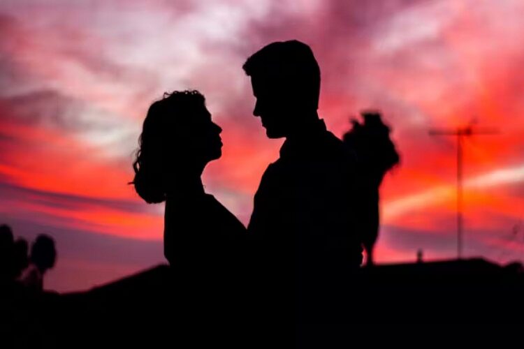 मालकिन शबीना