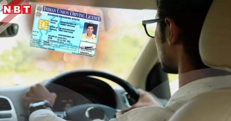 चीन, अमेरिका, जापान… इन देशों में ड्राइविंग करने की क्या है न्यूनतम उम्र, क्या कहता है वहां का कानून