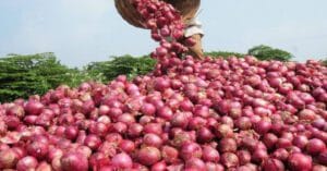 सलमान खान