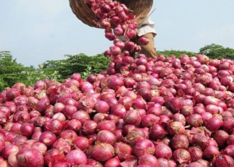 केंद्र सरकार ने Onion के निर्यात पर से हटाया प्रतिबंध
