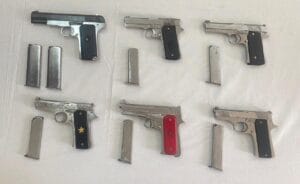 Gun