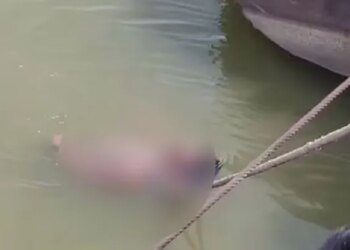 सांप के काटने से युवक की मौत, अंधविश्वास में डूबे परिवार ने जिंदा करने के लिए लाश को