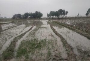 युवक