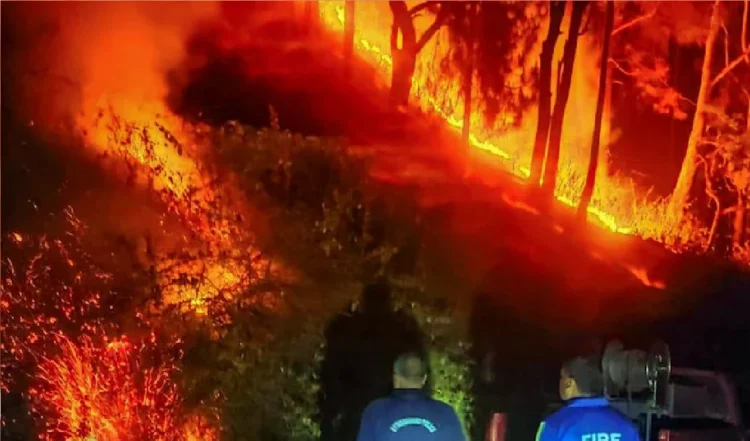 Uttarakhand Forest Fire: उत्तराखंड में डराने लगे सुलगते जंगल, 11 जिले प्रभावित,