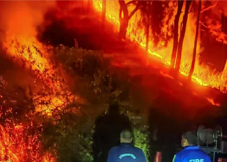 Uttarakhand Forest Fire: उत्तराखंड में डराने लगे सुलगते जंगल, 11 जिले प्रभावित,