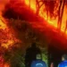 Uttarakhand Forest Fire: उत्तराखंड में डराने लगे सुलगते जंगल, 11 जिले प्रभावित,