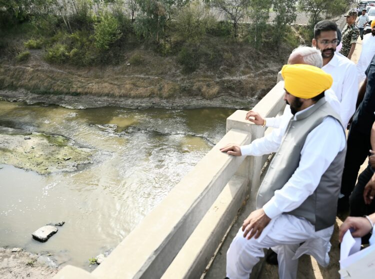 मुख्यमंत्री ने घग्गर नदी के साथ इलाकों में चल रहे बाढ़ रोकथाम कार्यों का लिया जायज़ा 1 घग्गर नदी