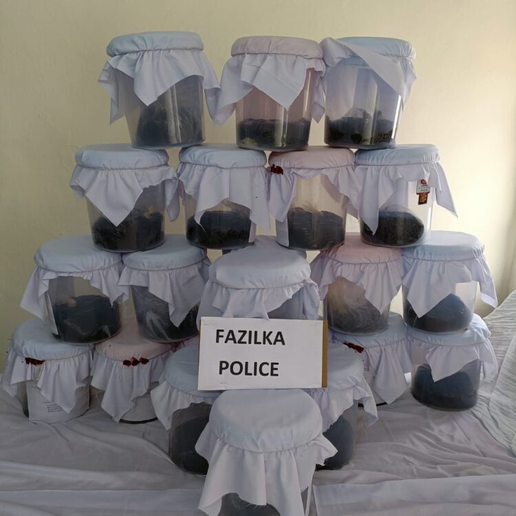 पंजाब पुलिस