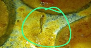 बिहार के इंजीनियरिंग कॉलेज में छात्रों को खिलाया मरा हुआ सांप, सड़ी हुई ब्रेड,