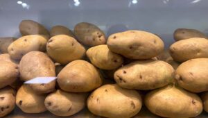 उलानकाब शहर