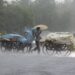 Bihar Monsoon Rain