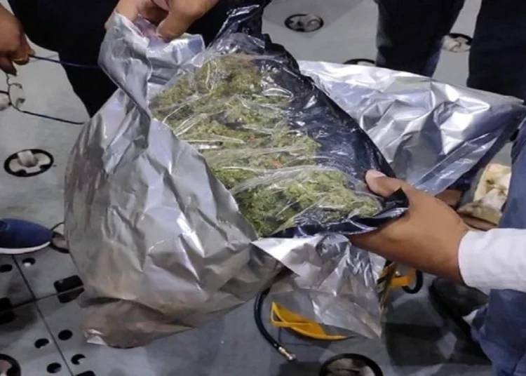 Noida : पुलिस ने तीन गांजा तस्करों को गिरफ्तार कर 800 किलोग्राम गांजा बरामद किया