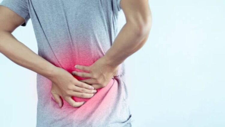 क्या पीठ के निचले हिस्से में दर्द से हैं पीड़ित? सिर्फ ये छोटा सा काम दूर करेगा दुख,