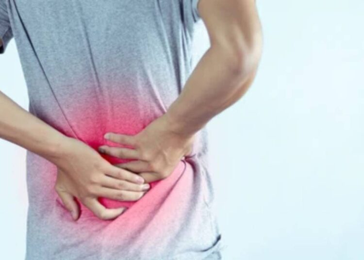 क्या पीठ के निचले हिस्से में दर्द से हैं पीड़ित? सिर्फ ये छोटा सा काम दूर करेगा दुख,