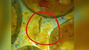 इंजीनियरिंग कॉलेज की कैंटीन के खाने में निकला जहरीले सांप का बच्चा?