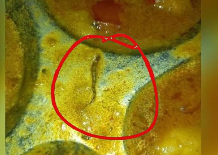 इंजीनियरिंग कॉलेज की कैंटीन के खाने में निकला जहरीले सांप का बच्चा?