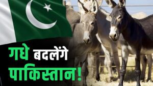 पाकिस्तान