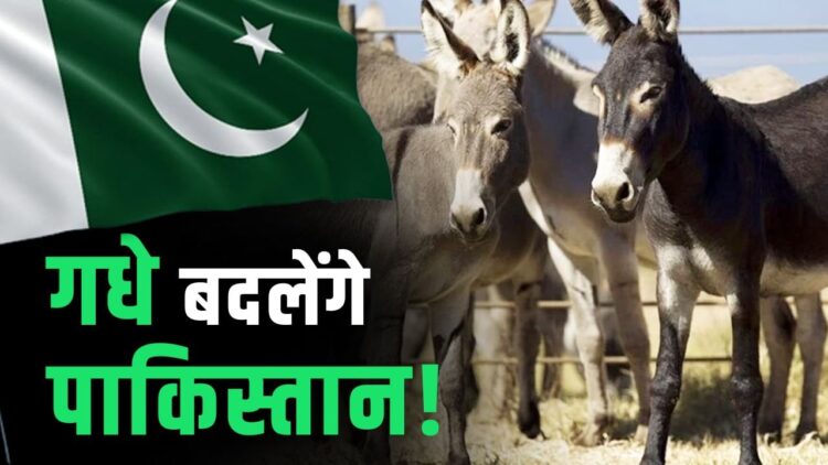 पाकिस्तान