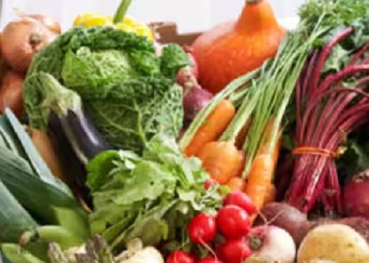 आलू,टमाटर-प्याज ही नहीं भिंडी-करेला, बैगन ने भी बिगाड़ बजट, देखें रेट्स