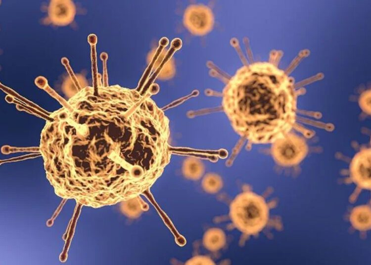 Alert ! देश में एक नए अजीब वायरस ने दी दस्तक…कई लाेगाें की गई जान,