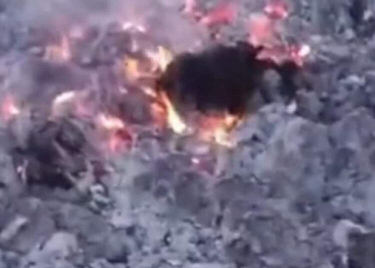 जलती चिता पर मुर्गे की बलि देकर कर रहे थे तंत्र विद्या