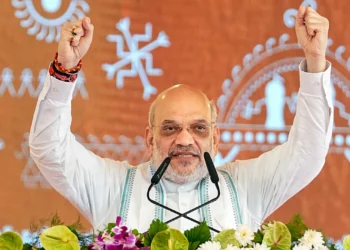 Amit Shah Rally Viral Video