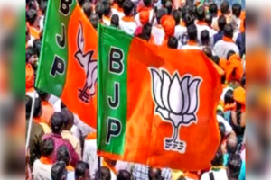 Delhi Election 2025, BJP Ground Strategy, Delhi Assembly Election, Piyush Goyal Delhi Cantt, BJP Leaders Responsibilities, Delhi Telugu Voters, Brajesh Pathak Adarsh Nagar, Central Ministers in Delhi Elections, 54 Assembly Seats Strategy, Delhi BJP Campaign Plan, BJP Local Connect Strategy, Voter Target in Delhi।