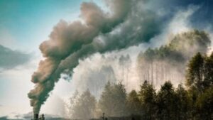 जलवायु संकट के लिए भारत जिम्मेदार नहीं, उसे पश्चिम की गलतियां नहीं दोहरानी चाहिए- राष्ट्रमंडल महासचि