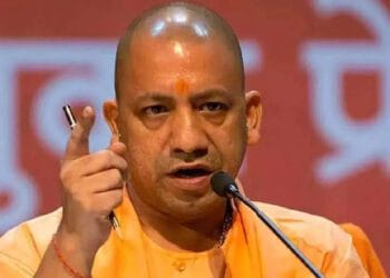 Yogi